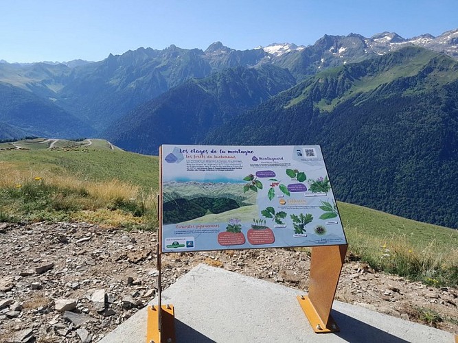 Sentier d'interprétation à Superbagnères