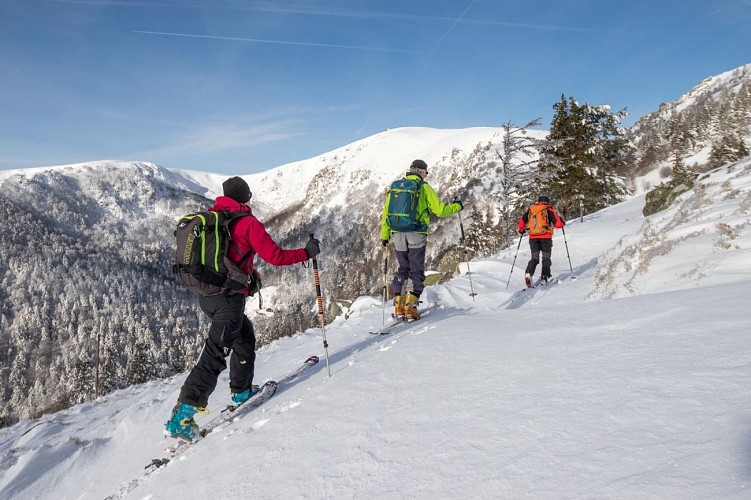 Ski de randonnée : Circuit 1 Le Gaschney