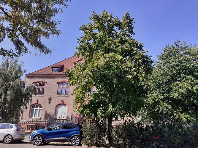 Etape 4 : le noisetier de Byzance