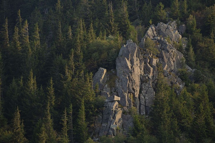 Hiking trail B18: From the Falkenstein peak to the Hohbuhl