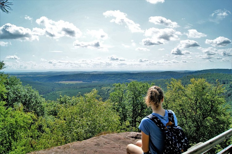 Point de vue de l'Englishberg
