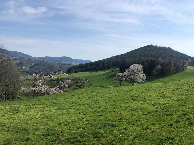 Circuit rando - sur les hauteurs d'Orbey