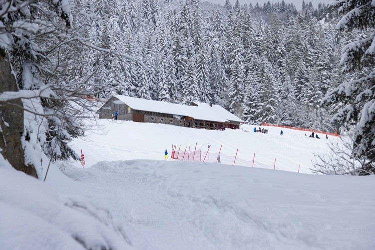 Snowshoe hiking : Tour 2 Kerbholz