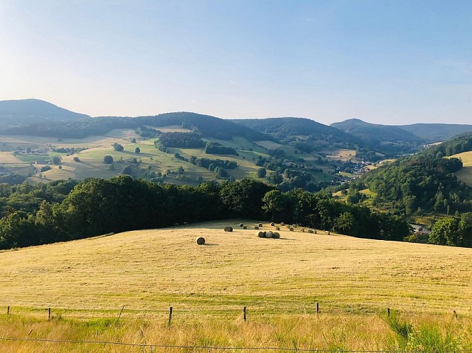 Wanderung- auf den Anhöhen zwischen Orbey und Lapoutroie