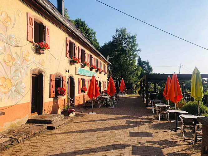 Wanderung- auf den Anhöhen zwischen Orbey und Lapoutroie