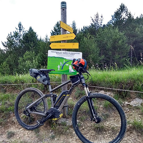 Col Saint Pierre 1290 m