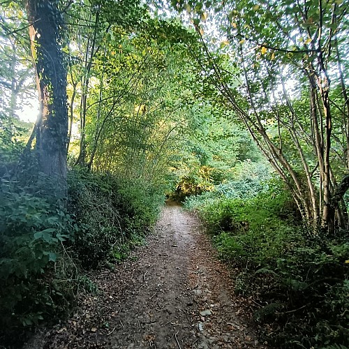 Chemin sur le Ségala