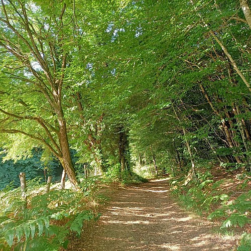 Chemin du Ségala