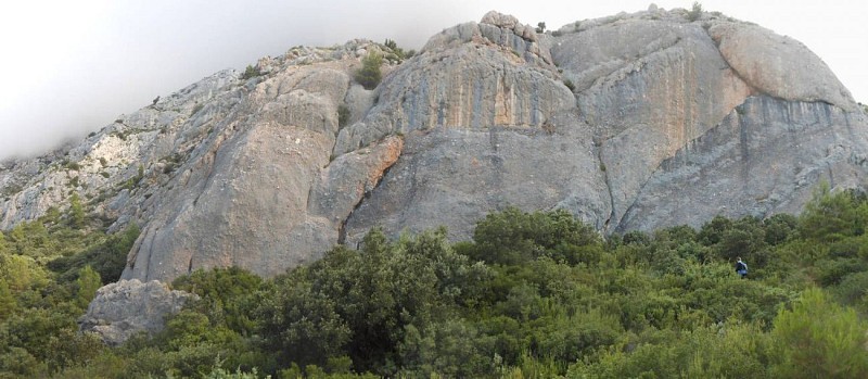 Après la marbrière, en direction du Pas du Clapier.