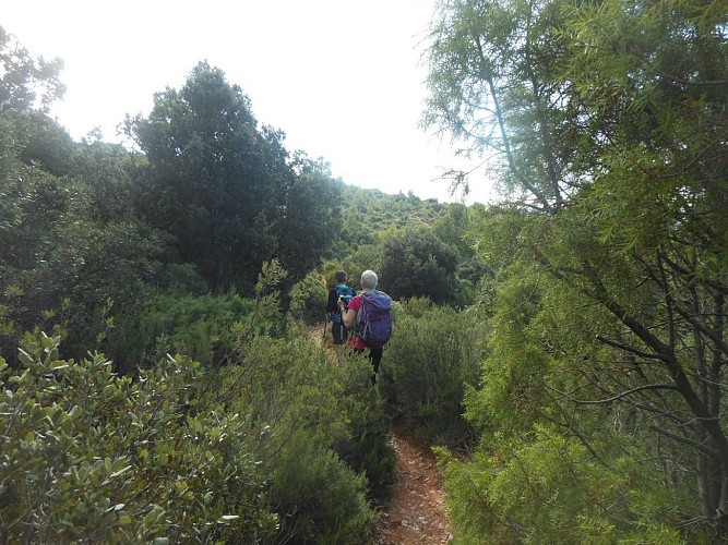 Montée vers la marbrière