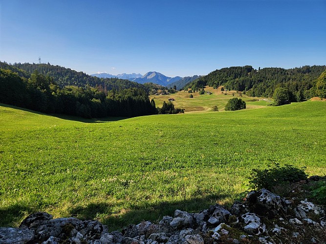 Sentier de randonnée - La Pointe de Miribel depuis Plaine-Joux_Bogève
