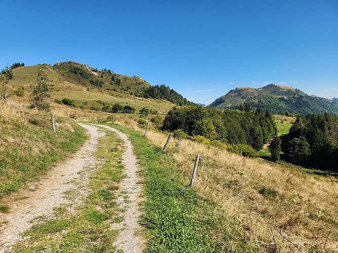 Sentier de randonnée - La Pointe de Miribel depuis Plaine-Joux_Bogève