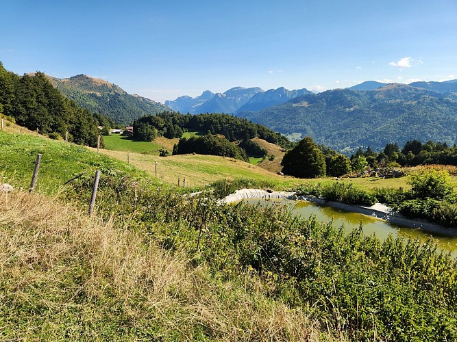 Sentier de randonnée - La Pointe de Miribel depuis Plaine-Joux_Bogève