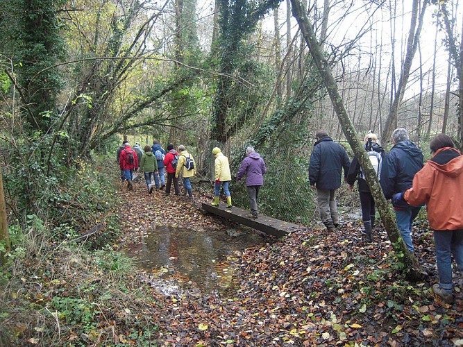 Chemin des fontaines paquin