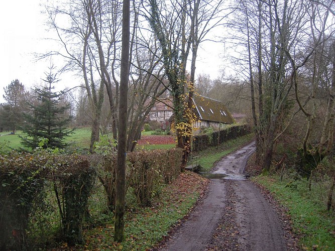 Chemin de la Baronnière
