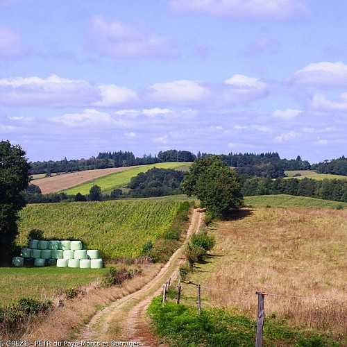 Chemin agricole de Golas au Bouque