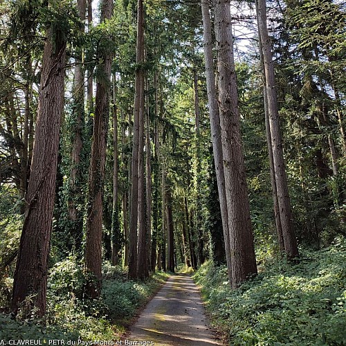 Route de Corneguère