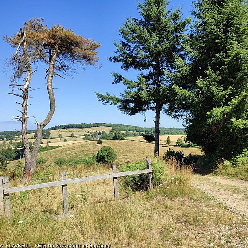 Chemin de crête du Puy Gargan