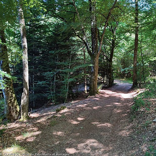Chemin du Bois de la Vialle