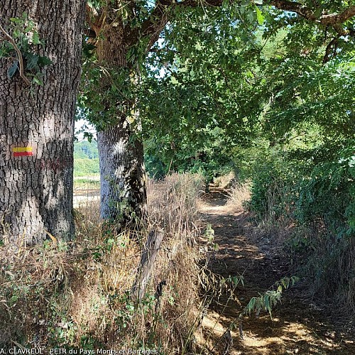 Chemin de la Chaucherie à Plantas