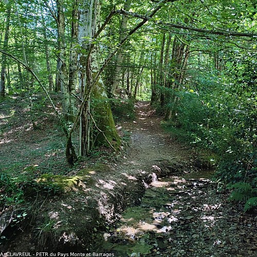 Chemin forestier du ruisseau de Moussanas