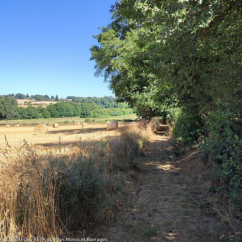 Chemin agricole de la Chaucherie