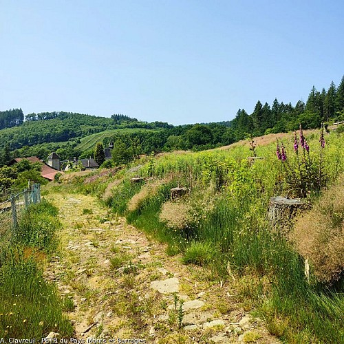 Chemin menant à  Beaumont-du-Lac
