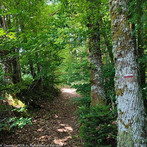 Les derniers kilomètres communs avec les GR4 et 46