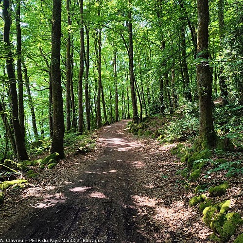 Sentier de rive du lac de Vassivière