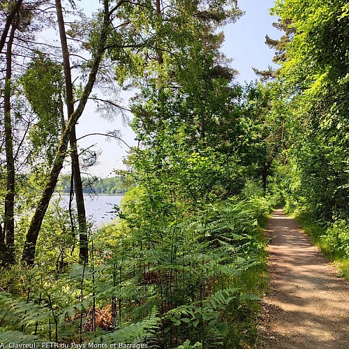 Sentier de rive sous le bois de Crozat