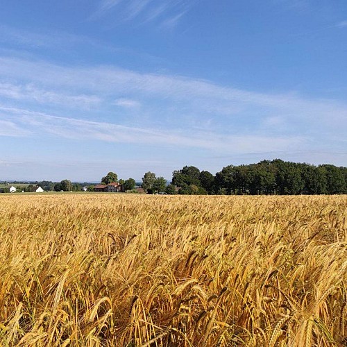 Vue sur la Croix Lattée