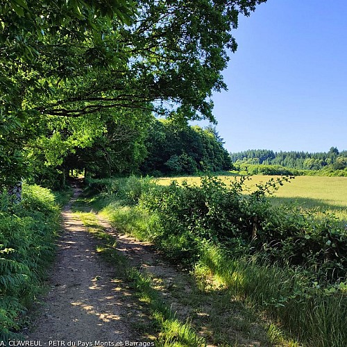 Chemin du Puy de la Bessade