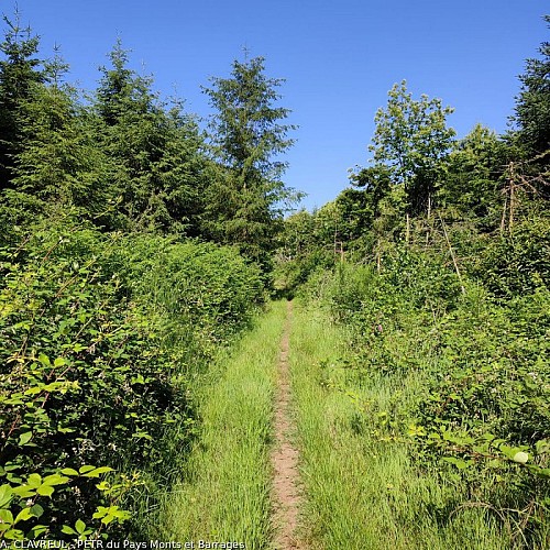 Chemin du Puy Lafont