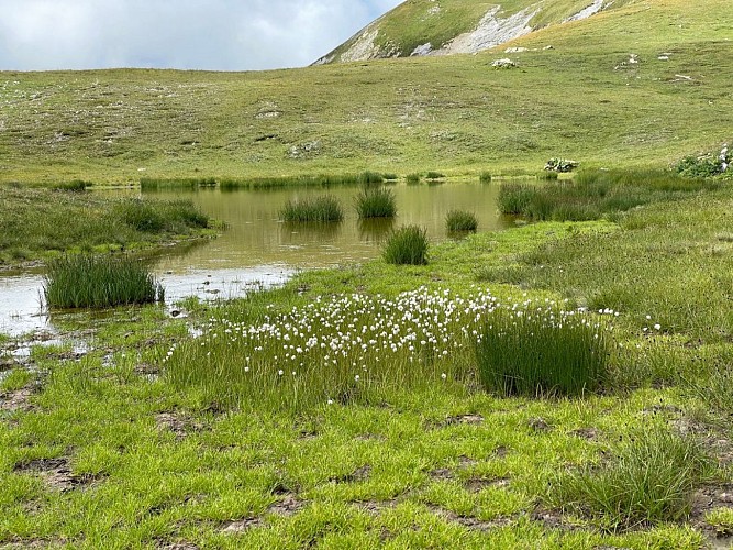 Rocher du vent et col de la Sauce