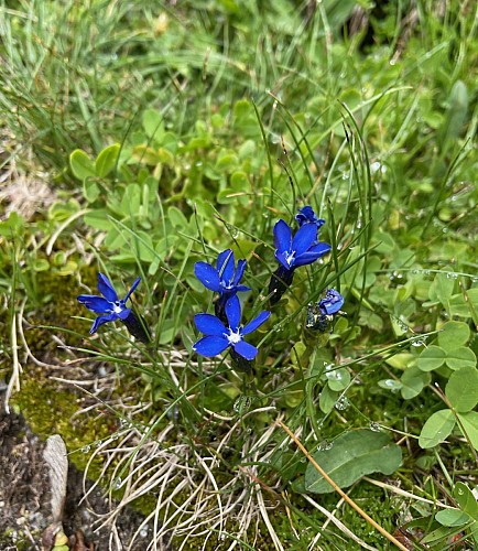Rocher du vent et col de la Sauce
