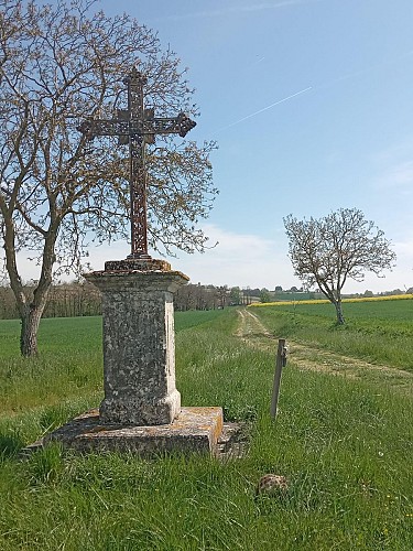 Sur le chemin de Notre Dame de Tudet_Tournecoupe