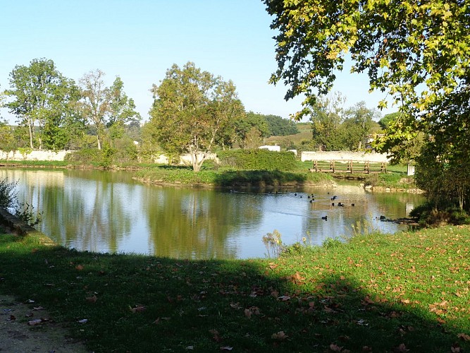 oct 2017 bpourg (11)