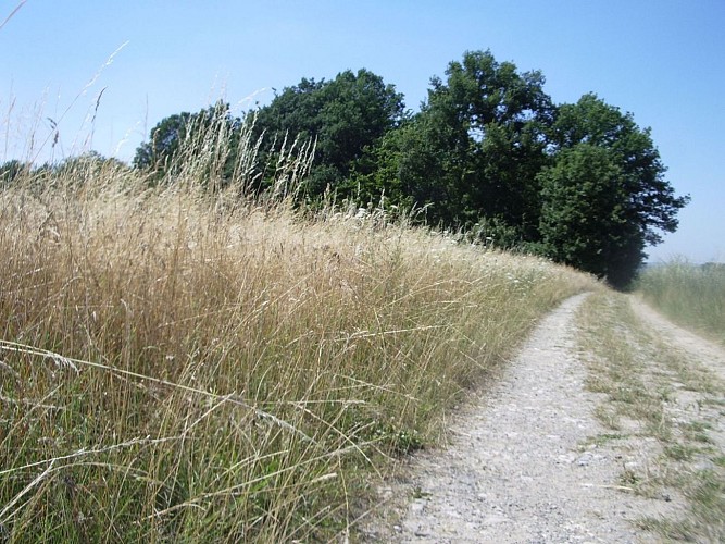 Circuit cyclable entre Hérapel et Berges de la Rosselle