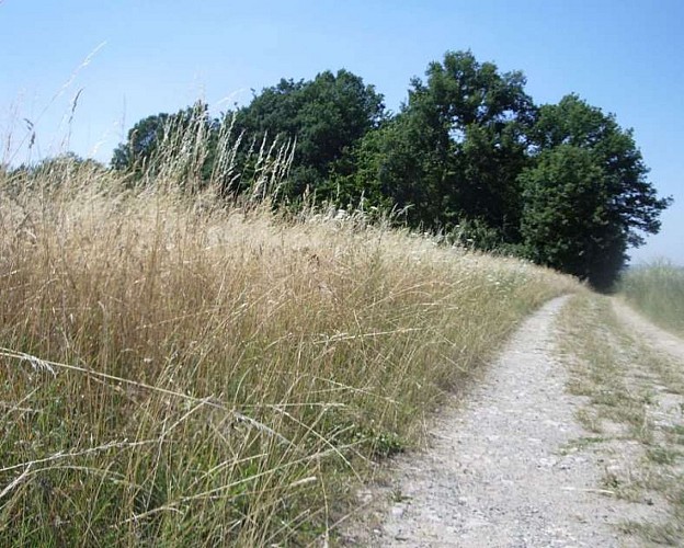 Circuit cyclable entre Hérapel et Berges de la Rosselle