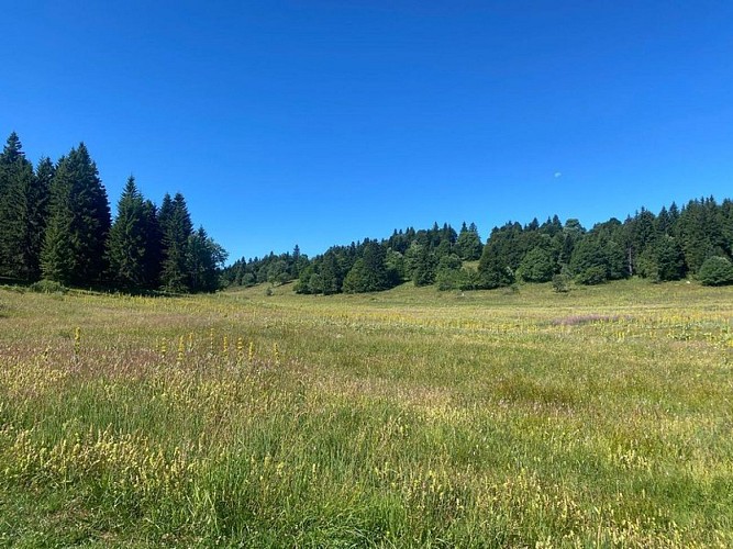 Plateau de Château-Julien
