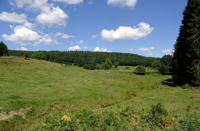 Circuit des 12 sources