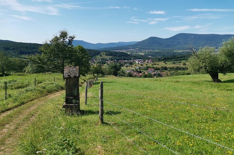 Heritage footpath of Saint Pierre Bois