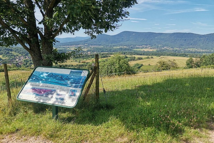 Chemin du Patrimoine ''Sur les traces de Wurzel''