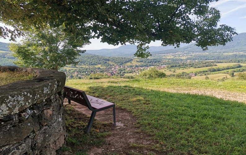 Chemin du Patrimoine ''Sur les traces de Wurzel''
