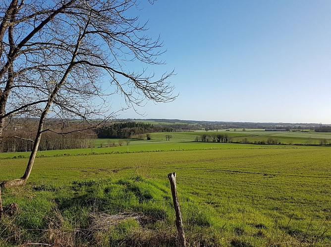 Vue sur la campagne