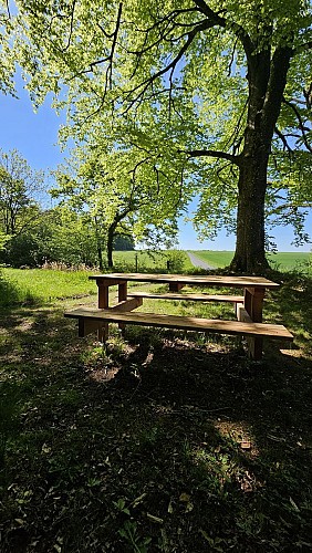 Aire de piquenique Chêne Bibi