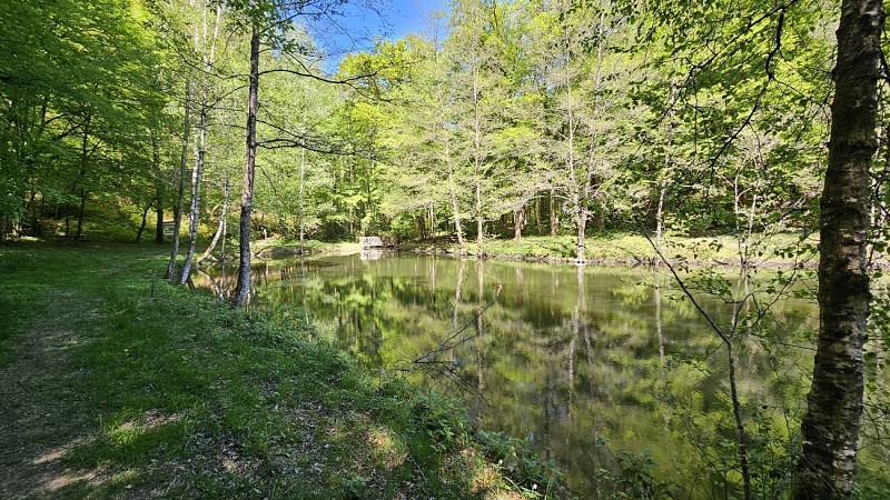 Etang de la Demoiselle