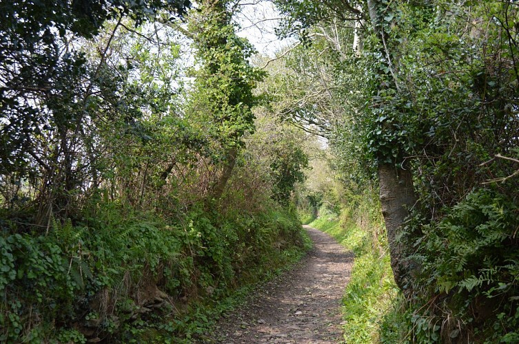 Crédit : ©Cotentin Unique