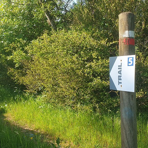 Chemin des anges