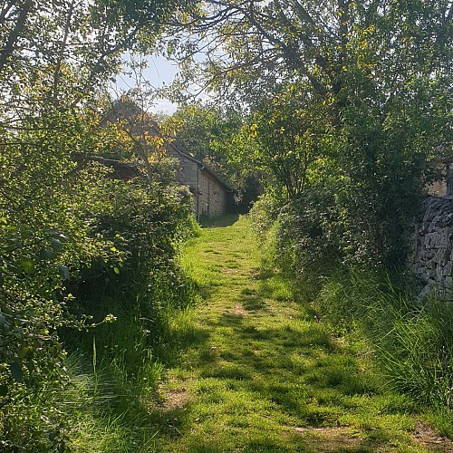 En chemin sur le Causse